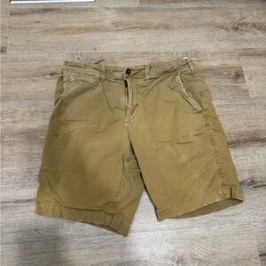 American Eagle Outfitters Men's Brown Flat Front Shorts